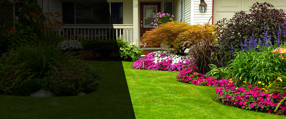Floydada Landscapers