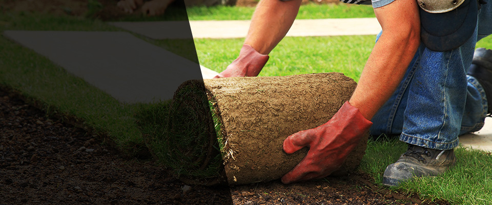 Floydada Landscapers